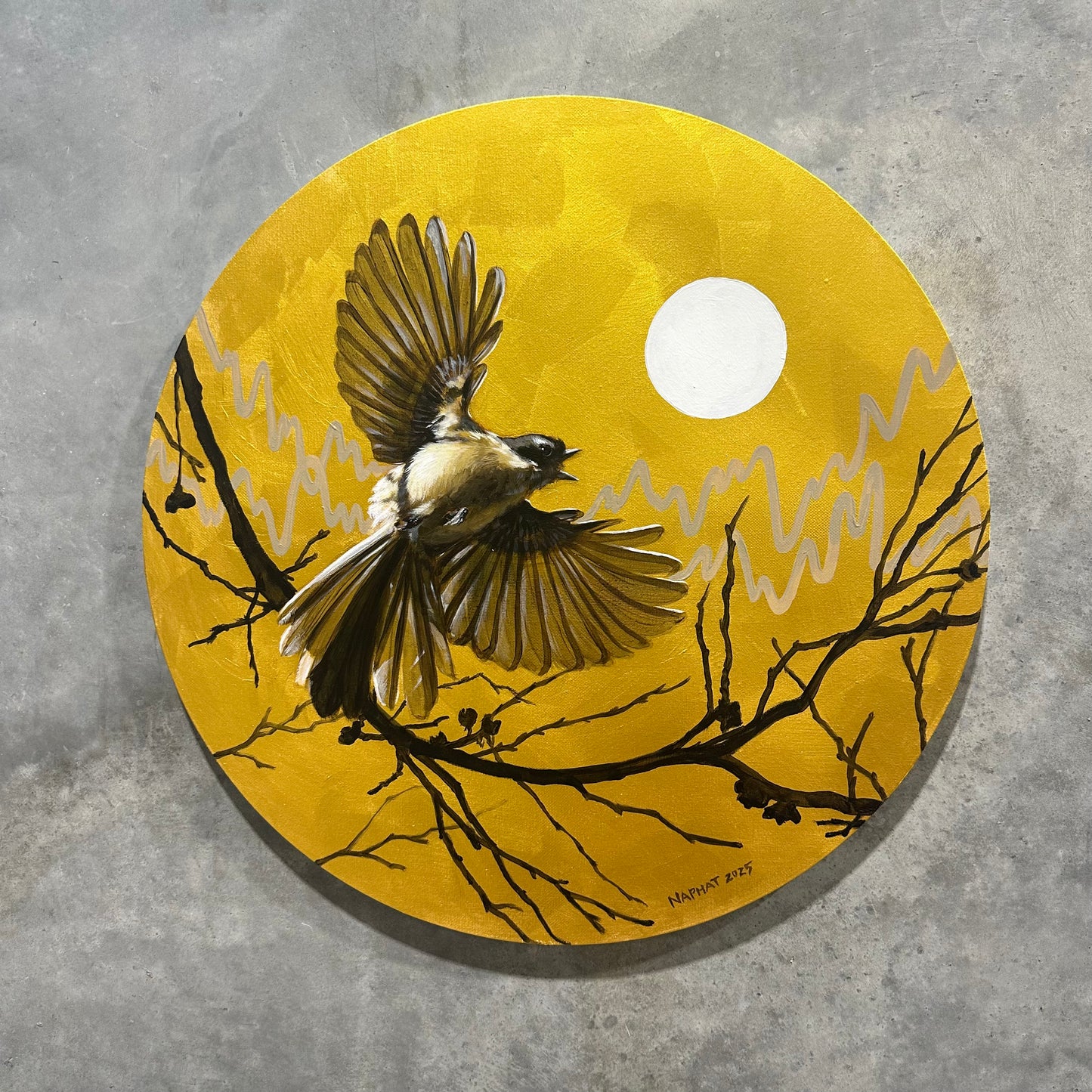 Fantail I