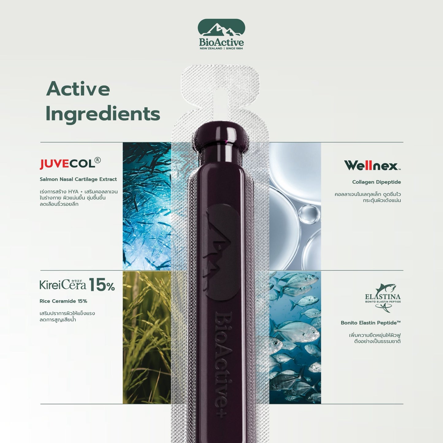 Bioactive+ Concentrated Liquid Collagen Drink - Mixed Berry