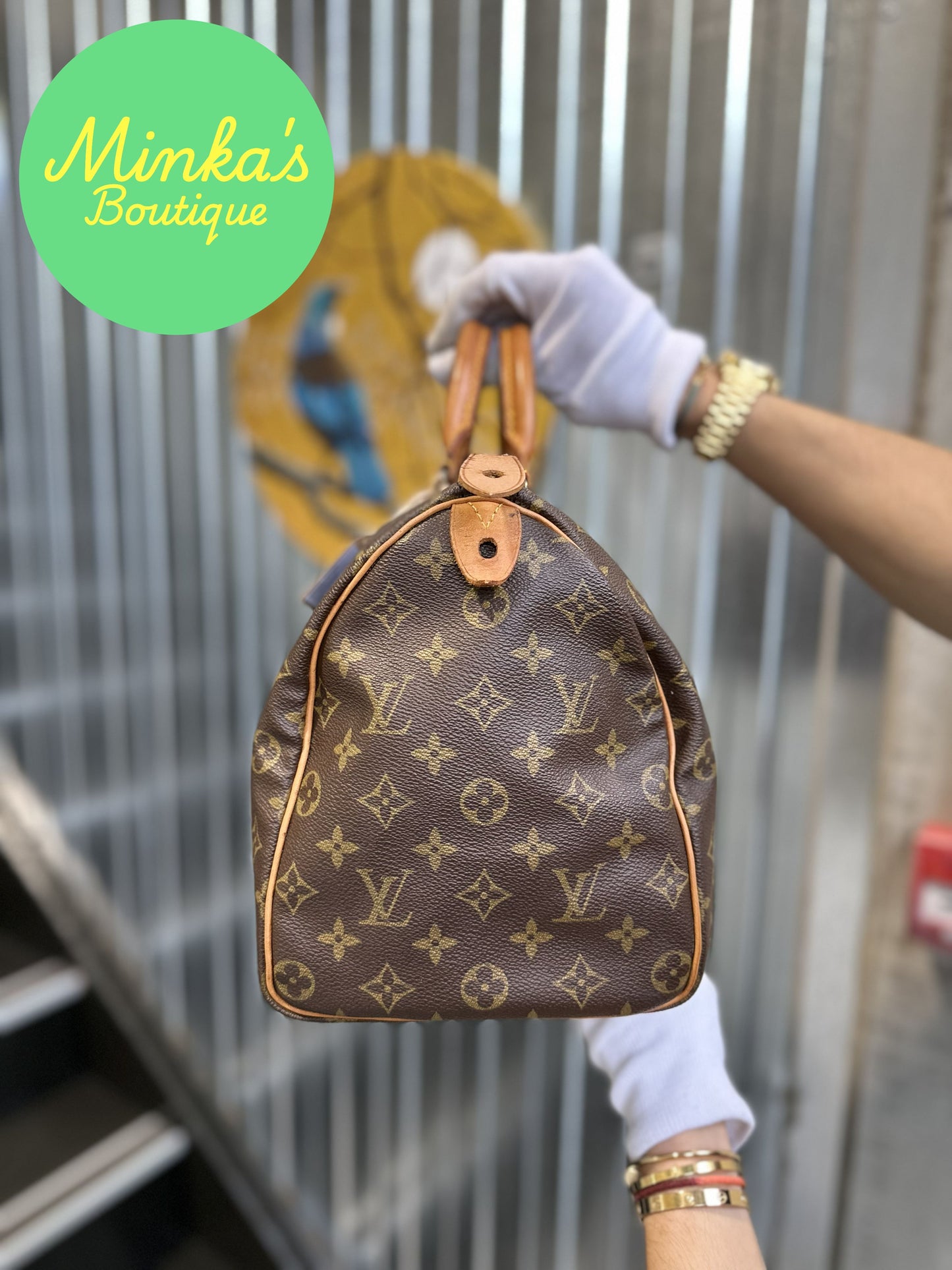 Louis Vuitton Speedy 35