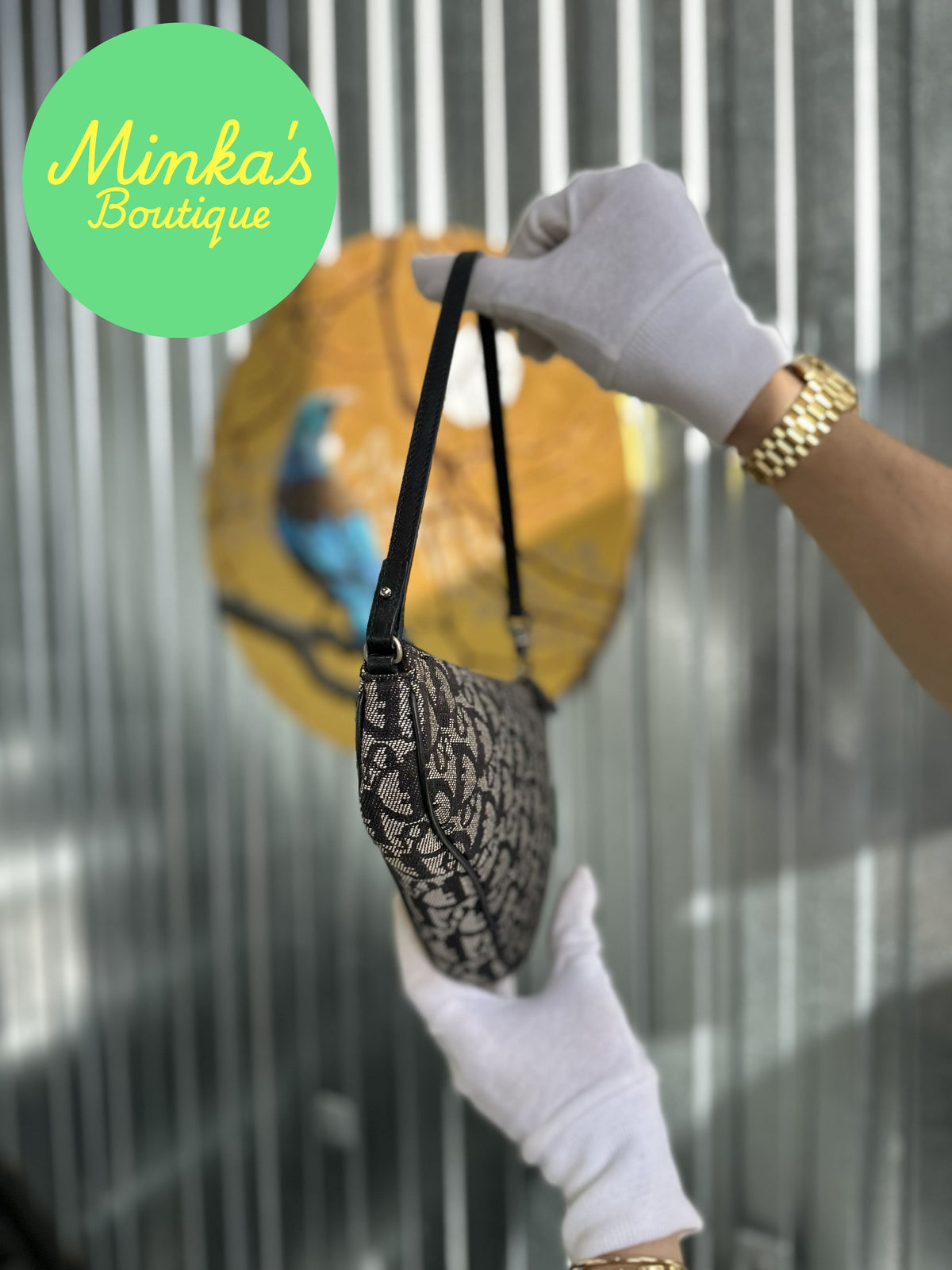 Dior Saddle Bag