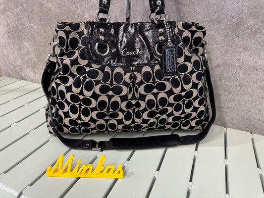 Coach Signature Stripe Carryall Tote Bag